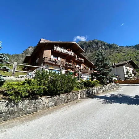 Camoscio Rocca Pietore