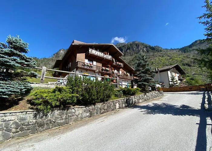 Camoscio Rocca Pietore